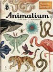 Animalium Muzeum zwierząt Jenny Broom/Katie Scott
