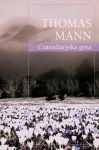 Czarodziejska góra, Thomas Mann