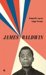 Zapiski syna tego kraju, James Baldwin