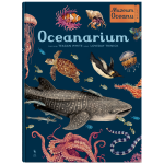 Oceanarium. Muzeum Oceanu, Loveday Trinick, Teagan White