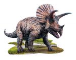 pol_pl_madd-capp-puzzle-konturowe-i-am-triceratops-100-elem2